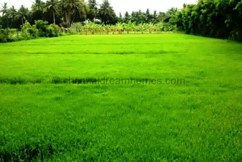 plots in ecr