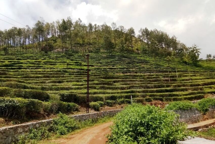 kotagiri plots for sale