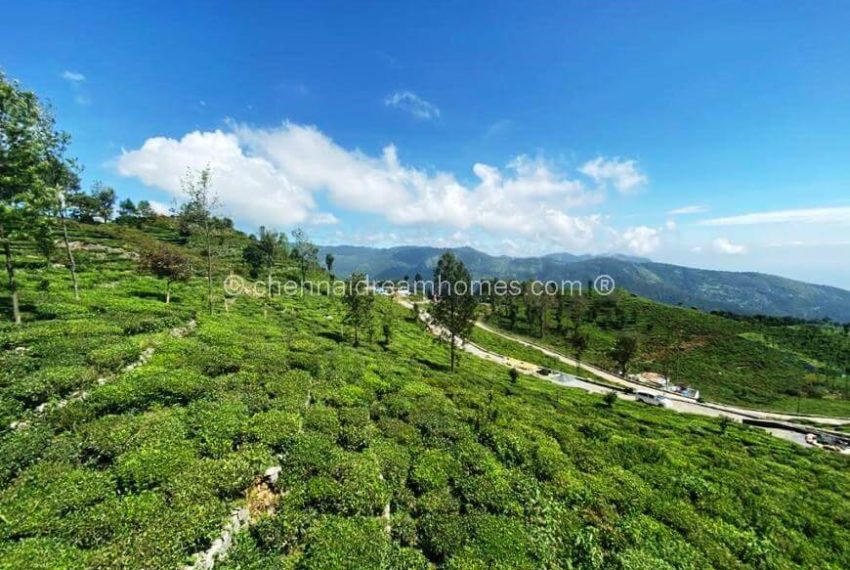 kotagiri plots for sale